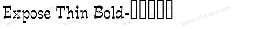 Expose Thin Bold字体转换